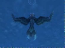 Huh?! Egy vizi madár?